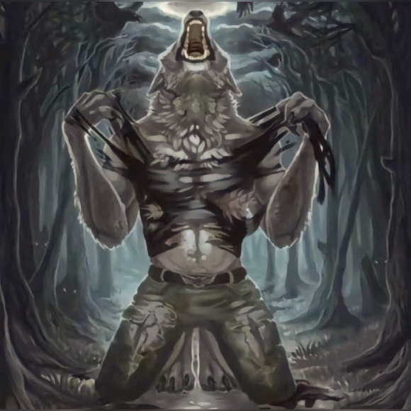 Meet your Posher, Angelina - Picture 1 of 1